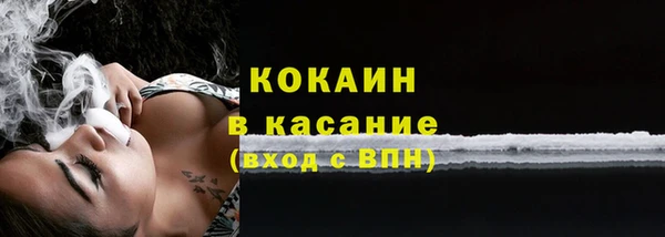 ешки Пересвет