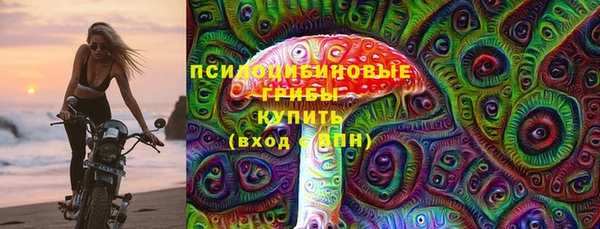 ешки Вяземский