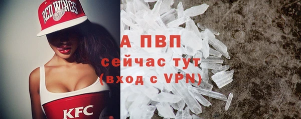 ешки Пересвет