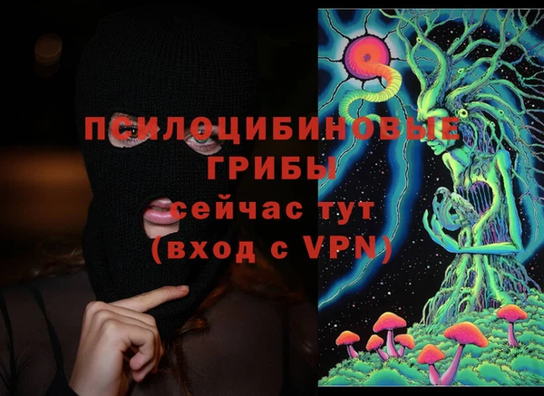 ешки Пересвет